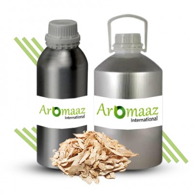 Angelica Root Floral Absolute Oil