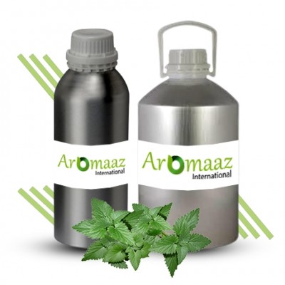 Catnip Essential Oil