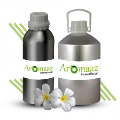Frangipani Floral Absolute Oil