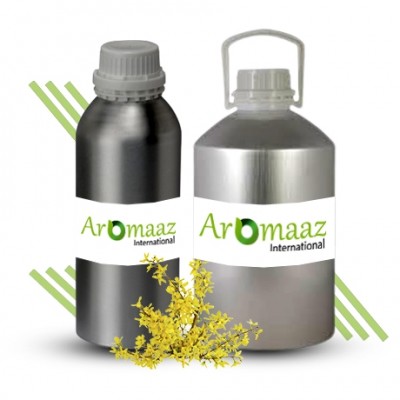 Galbanum Essential Oil