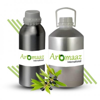 Laurel Leaf Essential Oil  