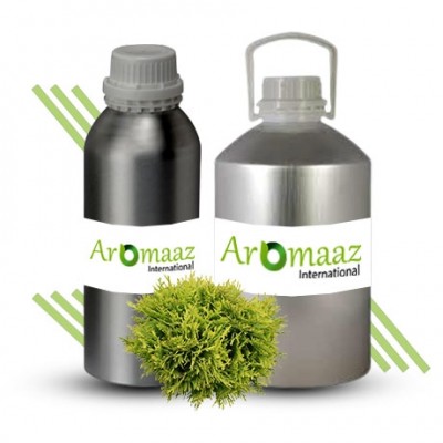 Thuja Essential Oil