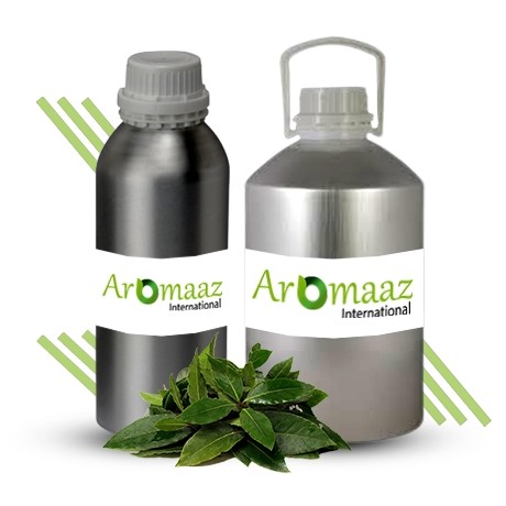 Bay Leaf Fragrance Oil