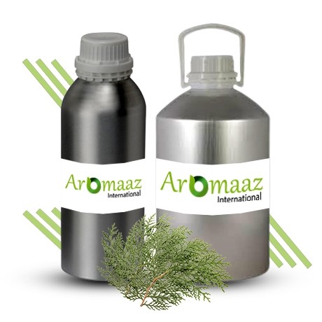 Cypress Essential Oil