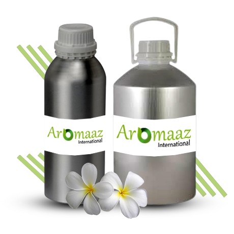 Frangipani Floral Absolute Oil