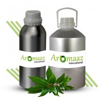 Camphor Essential Oil