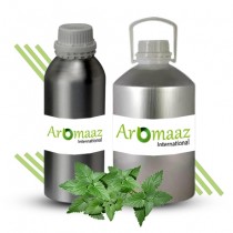 Catnip Essential Oil