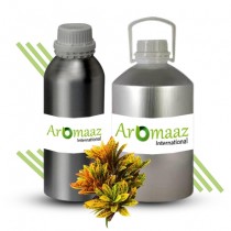 Croton Essential Oil