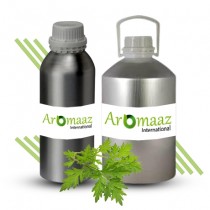 Davana Essential Oil  