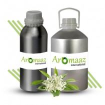 Myrtle Essential Oil