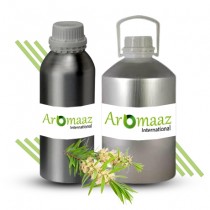 Niaouli Essential Oil