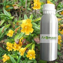 Musk Attar