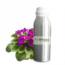 Violet Leaf 3% Dilution in Jojoba Oil