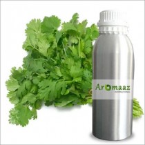 Parsley Hydrosol