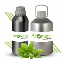 Sweet Basil Essential Oil