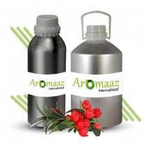 Wintergreen Essential Oil