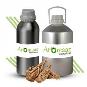 Angelica Root Essential Oil