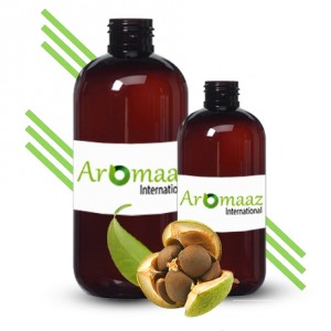 Camellia Seed Oil