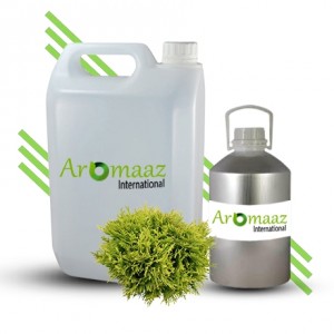 Cedarleaf (Thuja) Hydrosol