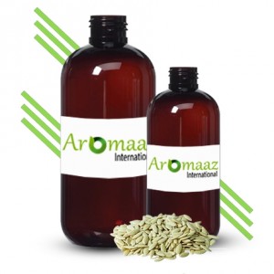 Cucumber Seed Oil 