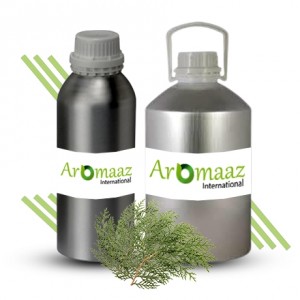 Cypress Essential Oil