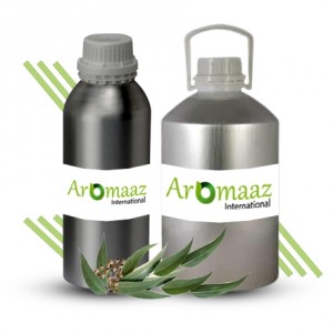 Eucalyptus Globulus Essential Oil 40%