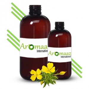 Evening Primrose Oil