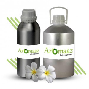 Frangipani Floral Absolute Oil