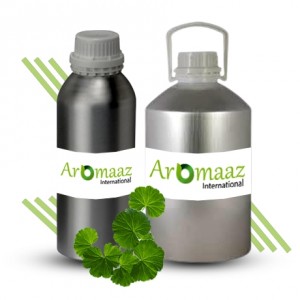 Geranium Leaf Floral Absolute Oil