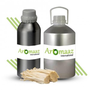 Hinoki Wood Essential Oil 