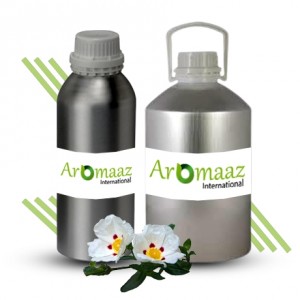 Labdanum Essential Oil