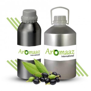Laurel Berry Essential Oil