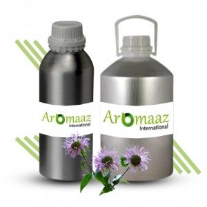 Monarda Essential Oil