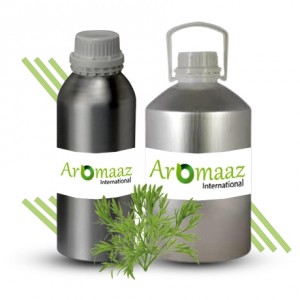 Mugwort Essential Oil