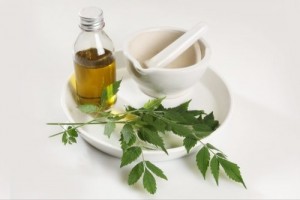 Neem Organic Carrier Oil