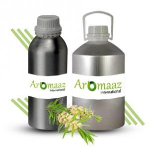 Niaouli Essential Oil