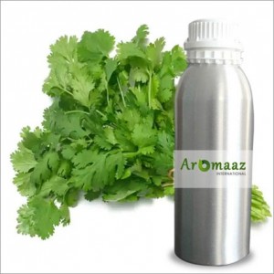 Parsley Hydrosol