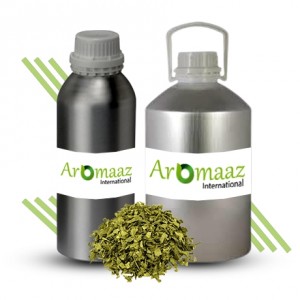 Oregano Essential Oil (60%) 