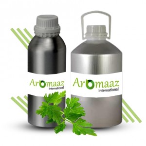 Parsley Leaf Essential Oil